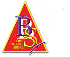 BSB-Banner-triangle-blogsm2 copy